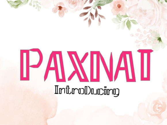 Paxnat: The Geometric Display Font for Modern Handmade Brands